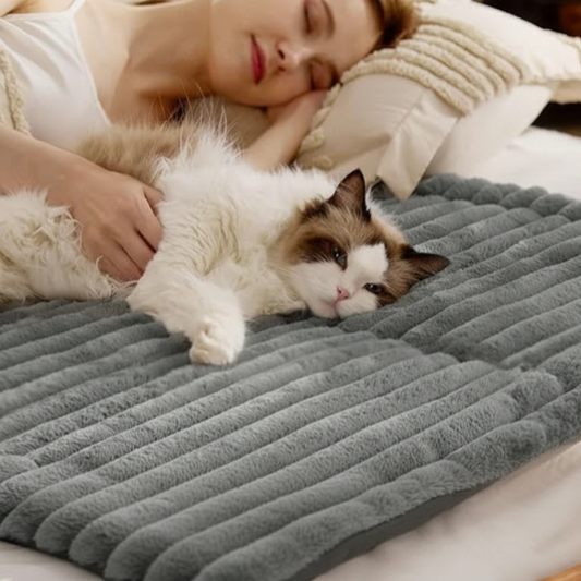 Warming pet Mat